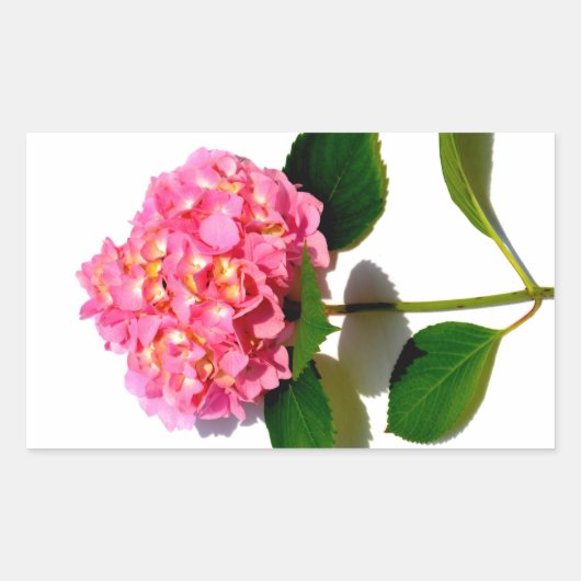 紫陽花ピンクフローラピンク花 長方形シール (正面)