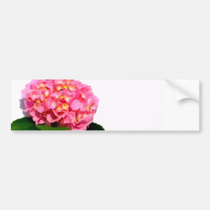 紫陽花ピンクフローラ バンパーステッカー