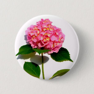 紫陽花ピンクフローラ 缶バッジ