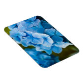 紫陽花マグネット（青） マグネット (右側)