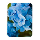 紫陽花マグネット（青） マグネット (縦)