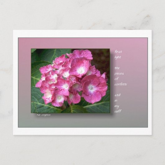 紫陽花付き第一灯 ポストカード (正面)