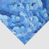 紫陽花実在花 薄葉紙 (詳細)