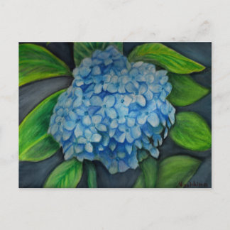 紫陽花絵画水彩葉書 ポストカード