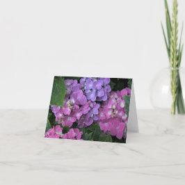 紫陽花 サンキューカード