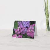 紫陽花 サンキューカード (正面)