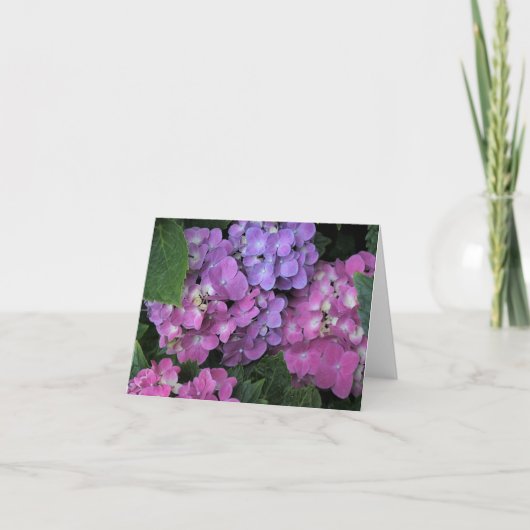 紫陽花 サンキューカード (正面)