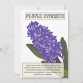 紫陽花 シーズンカード (正面)