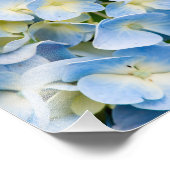 紫陽花 フォトプリント            (角)