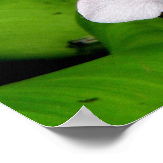 紫陽花 ポスター (角)