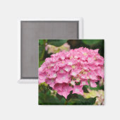 紫陽花 マグネット (正面/裏面)
