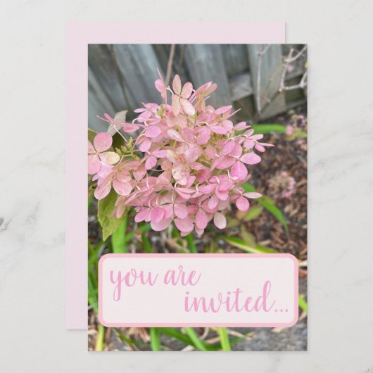 紫陽花 招待状 (正面/裏面)