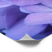 紫陽花{紫} |ポスター ポスター (角)