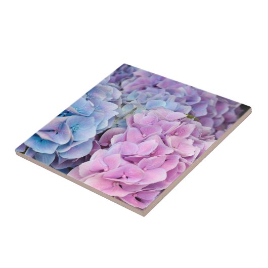 紫青あじさい花 タイル (側面)