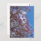 紫青ジャカランダ ポストカード (正面/裏面)