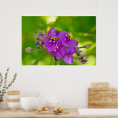 紫鮮やかのスパイダーウォルト野花ポスター ポスター (キッチン)