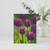 紫鮮やかチューリップ ポストカード (スタンド正面)