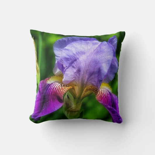 紫鮮やか青・黄色の虹彩花 クッション (正面)