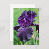 紫、ウェットアイリス ノートカード (正面/裏面)