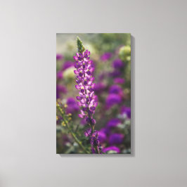 紫 キャンバスプリント