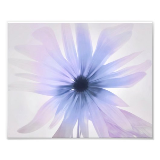 紫、ピンク、グレーのデイジー フォトプリント            (正面)