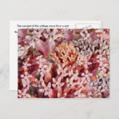 紫 ポストカード (正面/裏面)