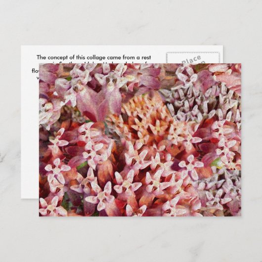 紫 ポストカード (正面/裏面)