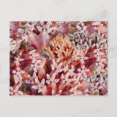 紫 ポストカード (正面)