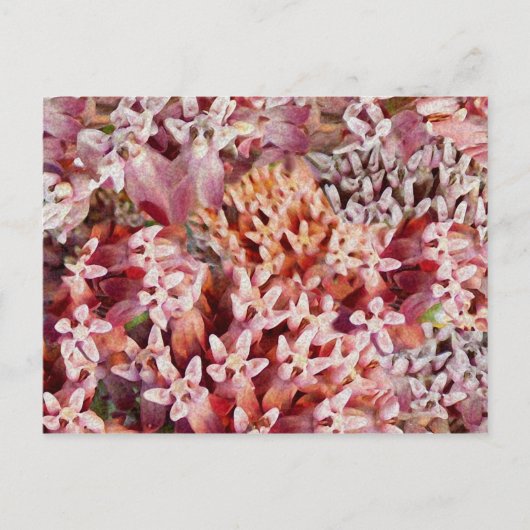 紫 ポストカード (正面)