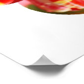 紫、赤、黄色のチューリップ ポスター (角)