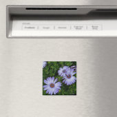 紫/青 – デイジー – 磁石 (インサイチュ (食洗機))