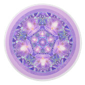 紫W1 セラミックノブ (正面)