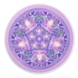 紫W1 セラミックノブ