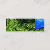 細い水および草- スキニー名刺 (裏面)