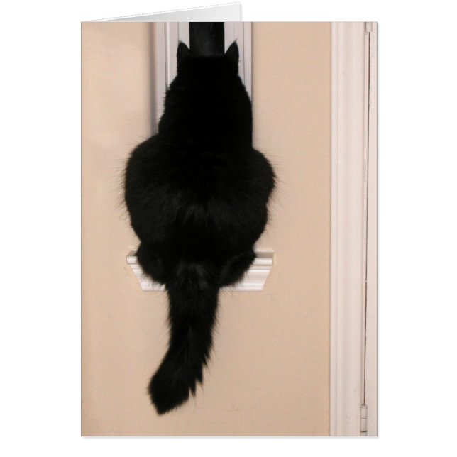 細い窓の黒猫 (正面)