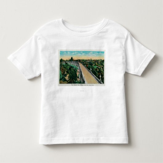 細流Secoを渡るコロラド州の通り橋 トドラーTシャツ (正面)