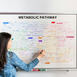 細胞の代謝経路 ポスター<br><div class="desc">代謝エンジニアリングの大腸菌ポスターの細胞の完全な代謝経路。</div>
