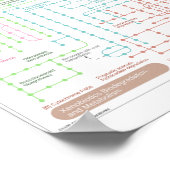 細胞の代謝経路 ポスター (角)