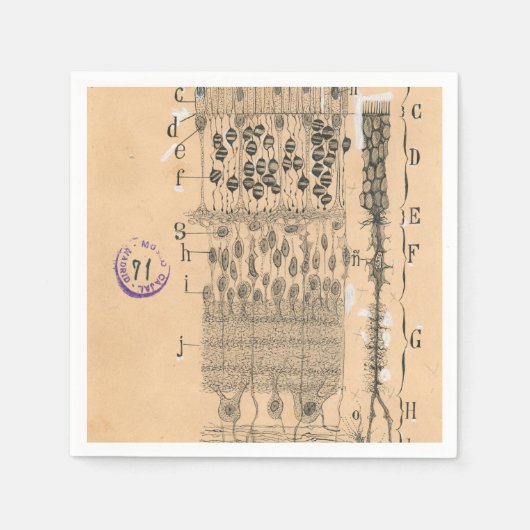 細胞スケッチ眼網膜サンティアゴラモンYカハル スタンダードカクテルナプキン (正面)