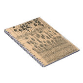 細胞スケッチ眼網膜サンティアゴラモンYカハル ノートブック (右側)