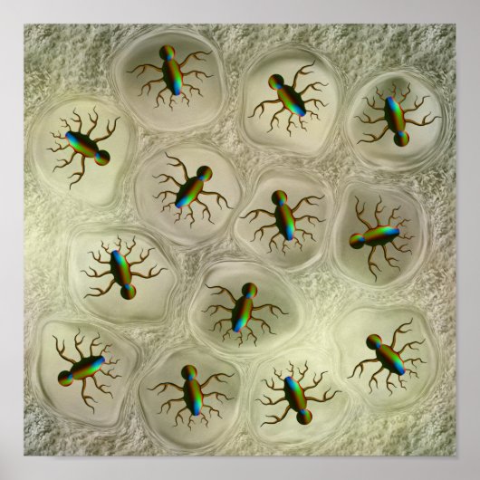 細胞マトリックスの中の抽象的な微生物 ポスター (正面)