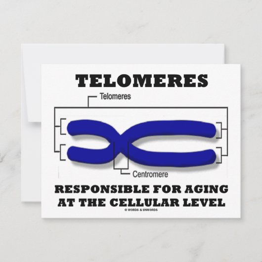 細胞レベルで老化することに責任があるTelomeres カード (正面)