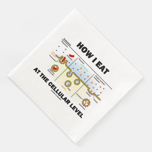 細胞レ食べベルのエンドサイトーシスの方法 (コーナー)