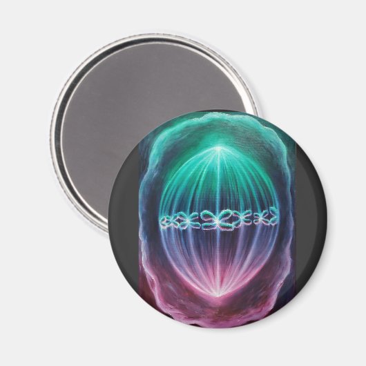 細胞分裂 マグネット (正面/裏面)