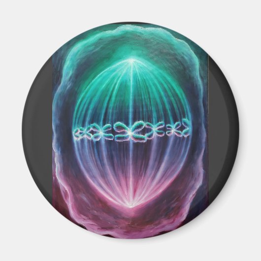 細胞分裂 マグネット (正面)