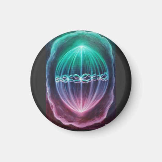 細胞分裂 マグネット (正面)