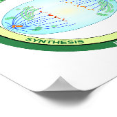 細胞周期と有糸分裂チャートの生物学的段階 ポスター (角)