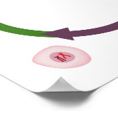 細胞周期ポスター ポスター (角)