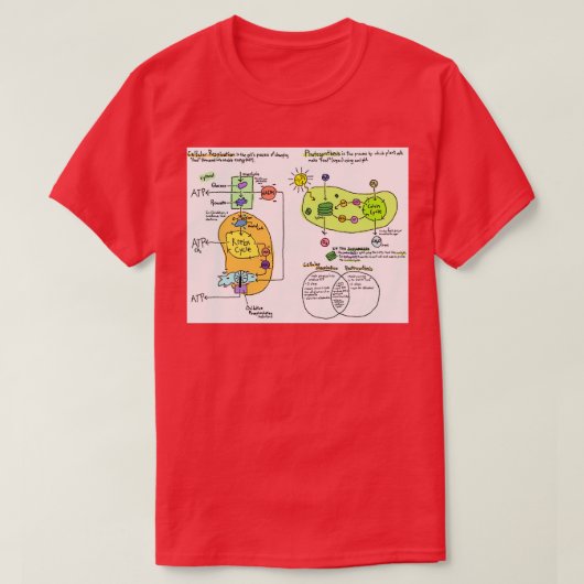 細胞呼吸と光合成図 Tシャツ (デザイン正面)