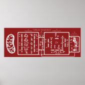 細胞呼吸42x16 ポスター (正面)